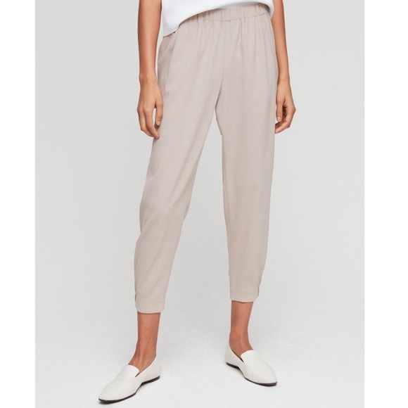 Aritzia Pants - Aritzia Babaton Dexter Pant